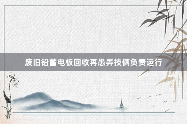 废旧铅蓄电板回收再愚弄技俩负责运行